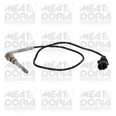Sensor, exhaust gas temperature